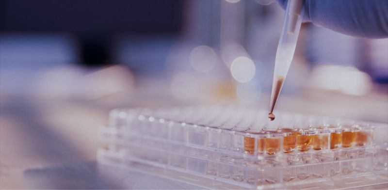 引领精准检测新标杆！河南省核苷药物研究院有限公司荣获CNAS实验室认可